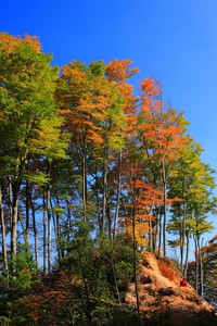 聚焦于：欧国联赛事球队实力对比