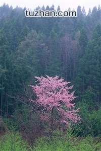 巴萨在毕尔巴鄂迎战：客场艰难的胜利