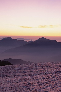 队员在比赛中奋力拼搏，为球队赢得胜利。