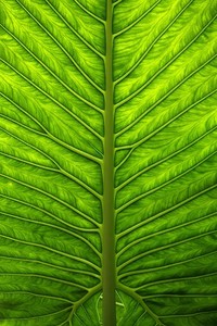 克罗地亚迎战荷兰，硝烟弥漫战场已布局