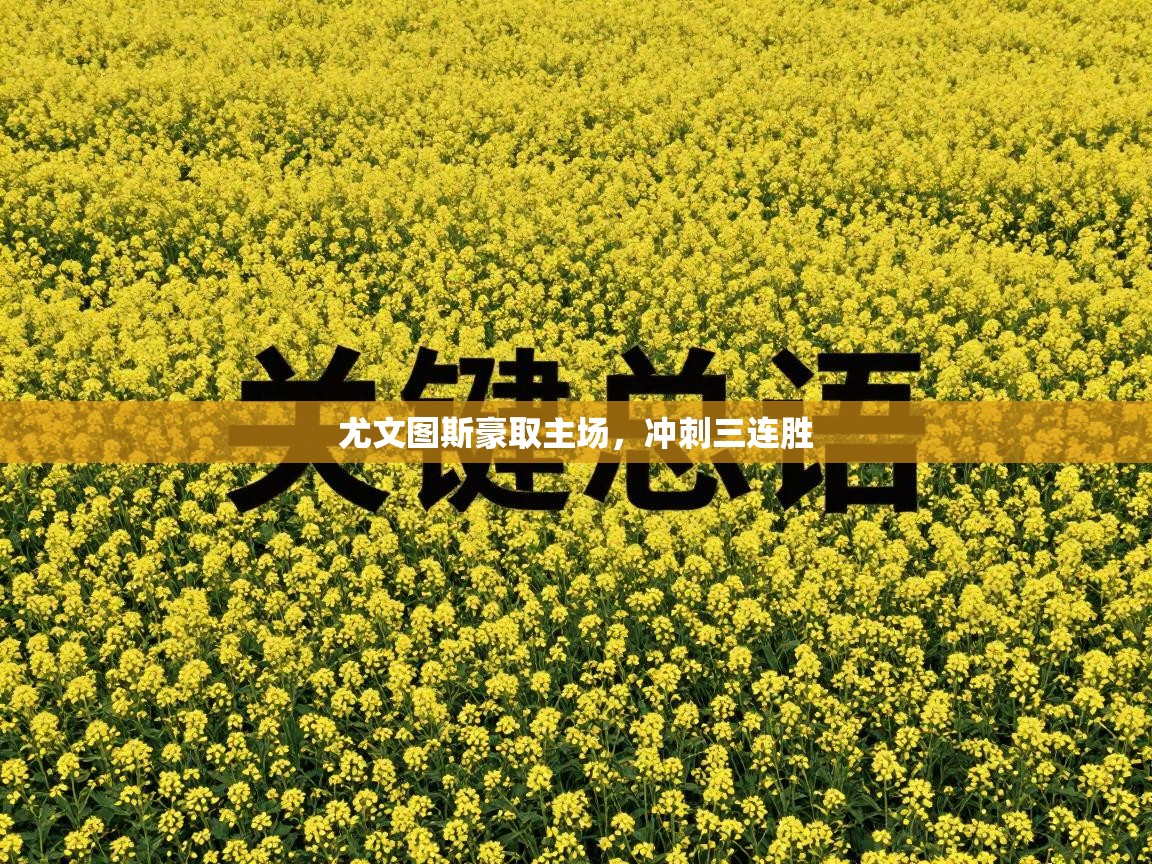 尤文图斯豪取主场，冲刺三连胜